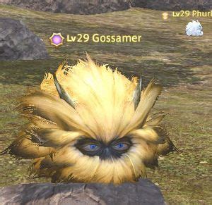 ff14 gossamer